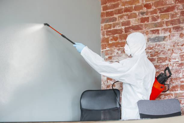 Best Asbestos and Lead Testing During Mold Inspection  in Watsonville, CA