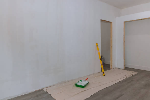 Best Post-Construction Mold Inspection  in Watsonville, CA