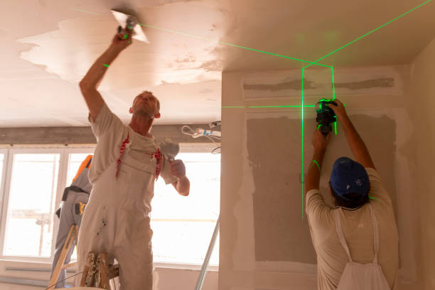 Best Mold Removal for HVAC Installations  in Watsonville, CA