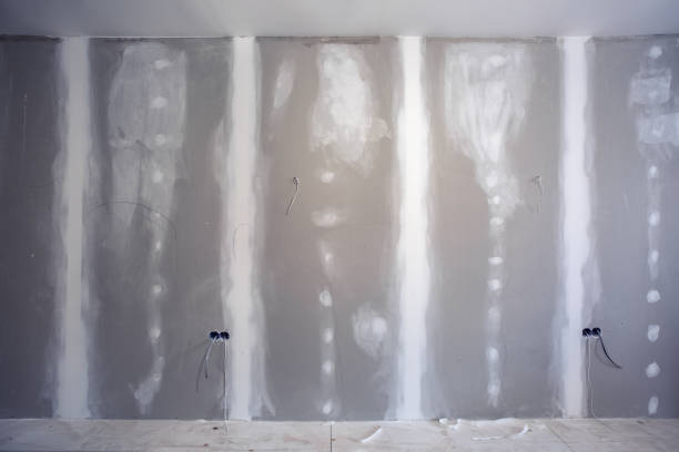 Best Attic Mold Removal  in Watsonville, CA